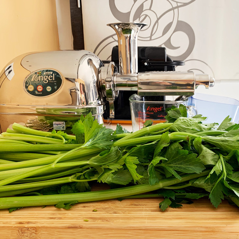 Ernährungsumstellung